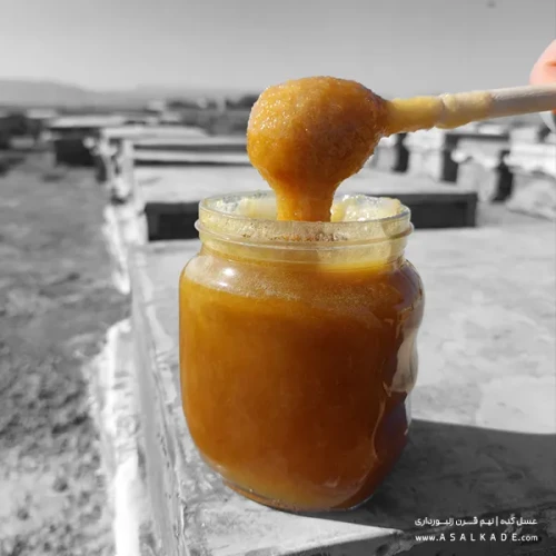 عسل گشنیز خام ارگانیک